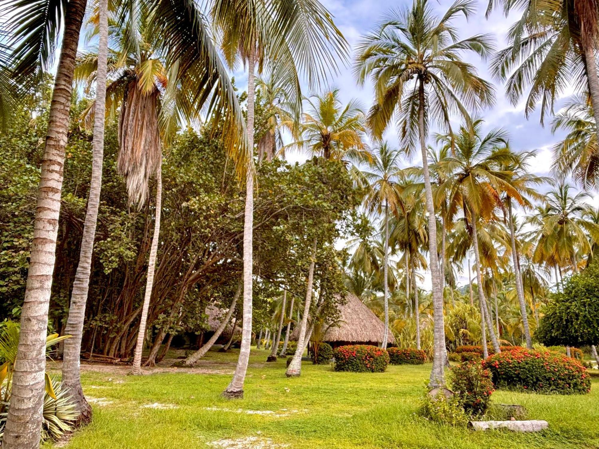 Hotel Playa Bonita Tayrona Buritaca Zewnętrze zdjęcie