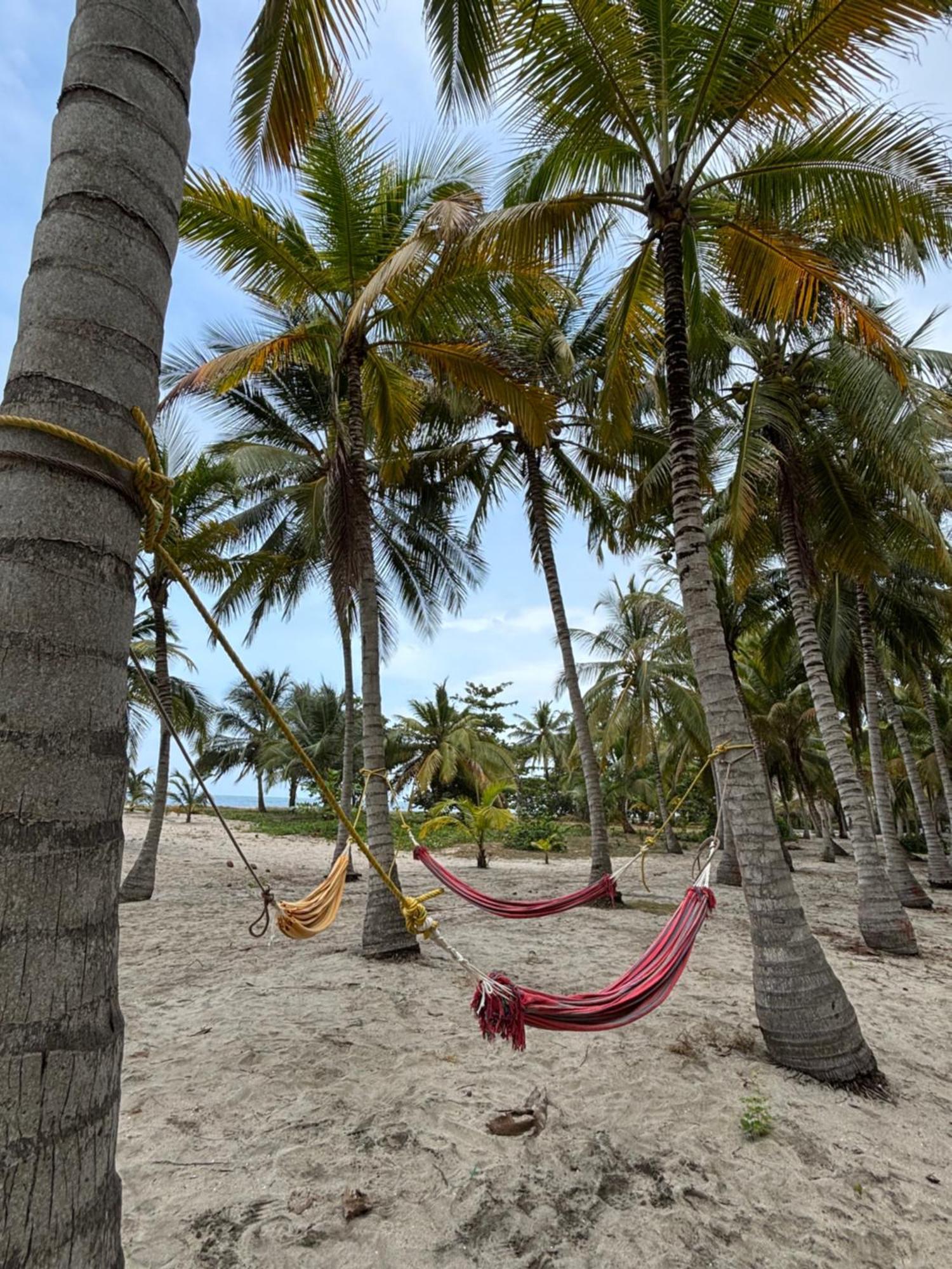 Hotel Playa Bonita Tayrona Buritaca Zewnętrze zdjęcie