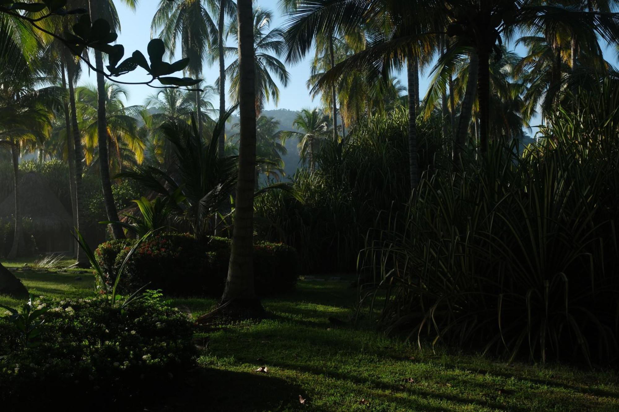 Hotel Playa Bonita Tayrona Buritaca Zewnętrze zdjęcie